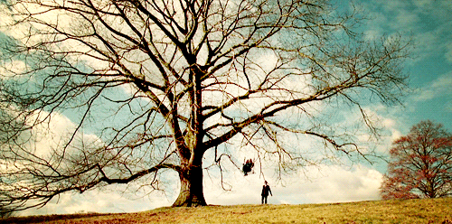 0.gif