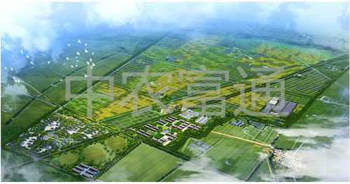 1、安徽省亳州市渦陽縣糧食產(chǎn)業(yè)現(xiàn)代農(nóng)業(yè)示范區(qū)總體規(guī)劃（2011-2015年）_副本.jpg