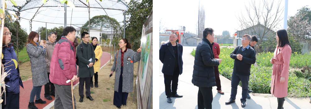 《旌陽區(qū)鄉(xiāng)村振興戰(zhàn)略發(fā)展總體規(guī)劃（2018-2022年）》項(xiàng)目 初期調(diào)研工作順利完成(圖2)