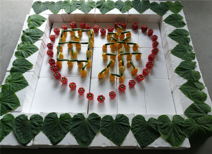 微信圖片_20200512091739.png