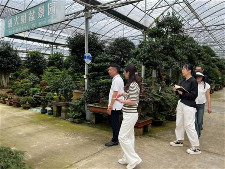沭陽國際花木城.png