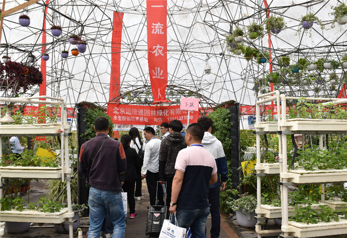 喜報！第九屆北京（通州）國際都市農(nóng)業(yè)科技節(jié)榮獲“特色展示設(shè)計展會”稱號(圖7)