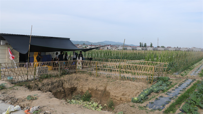 15、方三天有機菜園.jpg